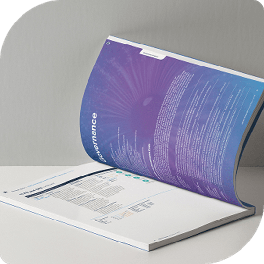 Our 2024 printed annual report opened to the Governance Report page