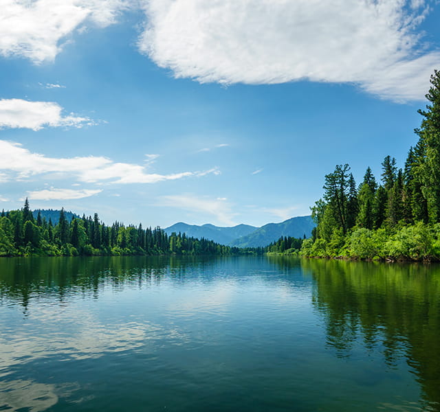 A scene of tall trees that surround a lake or calm river environment